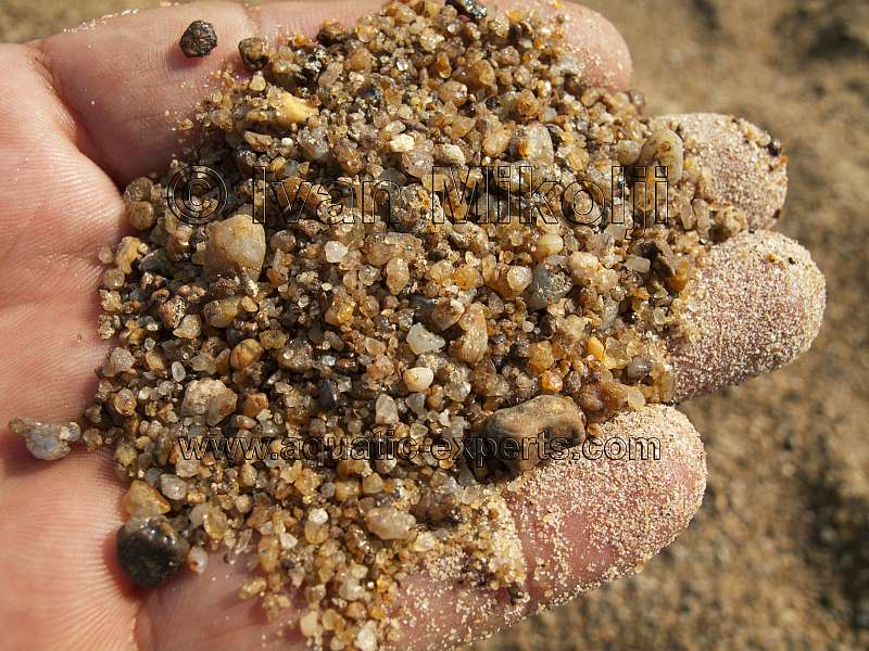 arena del rio orinoco